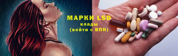 ПСИЛОЦИБИНОВЫЕ ГРИБЫ Алексеевка