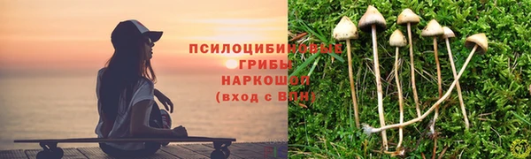 jwh Алзамай