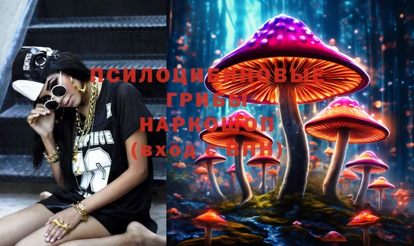 ПСИЛОЦИБИНОВЫЕ ГРИБЫ Алексеевка
